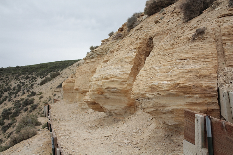 Fossil Butte National Monument